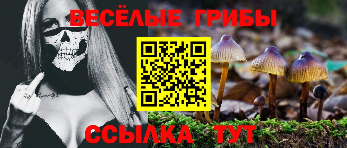 где купить наркотик  Вход с VPN  Новый Уренгой  Псилоцибиновые грибы ЛСД 