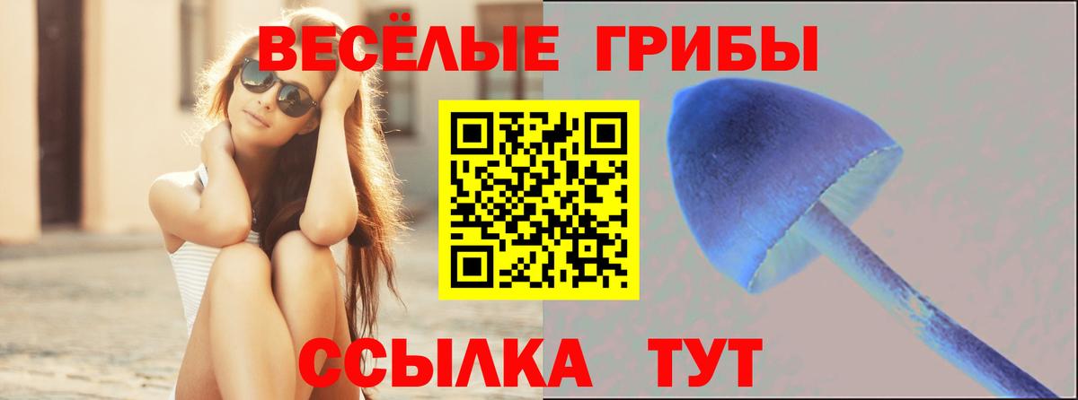 Галлюциногенные грибы Cubensis Новый Уренгой